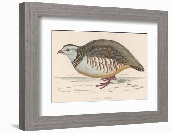 Barbary Partridge-Reverend Francis O. Morris-Framed Photographic Print