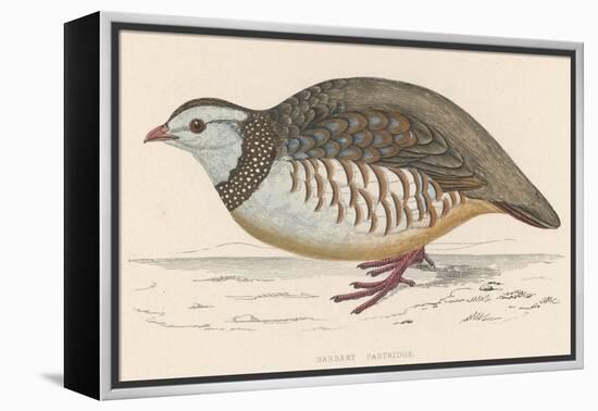 Barbary Partridge-Reverend Francis O. Morris-Framed Premier Image Canvas