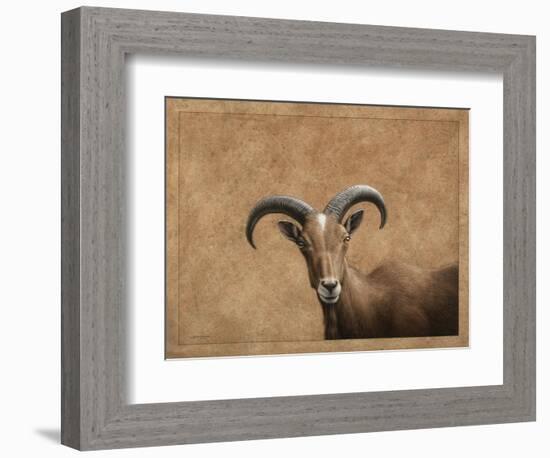 Barbary Ram-James W. Johnson-Framed Giclee Print