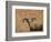 Barbary Ram-James W. Johnson-Framed Giclee Print