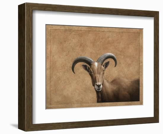 Barbary Ram-James W. Johnson-Framed Giclee Print