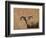 Barbary Ram-James W. Johnson-Framed Giclee Print