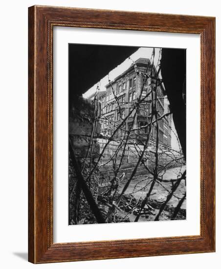 Barbed Wire Which Separates East and West Berlin-Paul Schutzer-Framed Photographic Print