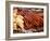 Barbequed Meats at the Stuttgart Beer Festival, Cannstatter Wasen, Stuttgart, Baden-Wurttemberg, Ge-Michael DeFreitas-Framed Photographic Print