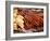 Barbequed Meats at the Stuttgart Beer Festival, Cannstatter Wasen, Stuttgart, Baden-Wurttemberg, Ge-Michael DeFreitas-Framed Photographic Print