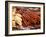 Barbequed Meats at the Stuttgart Beer Festival, Cannstatter Wasen, Stuttgart, Baden-Wurttemberg, Ge-Michael DeFreitas-Framed Photographic Print