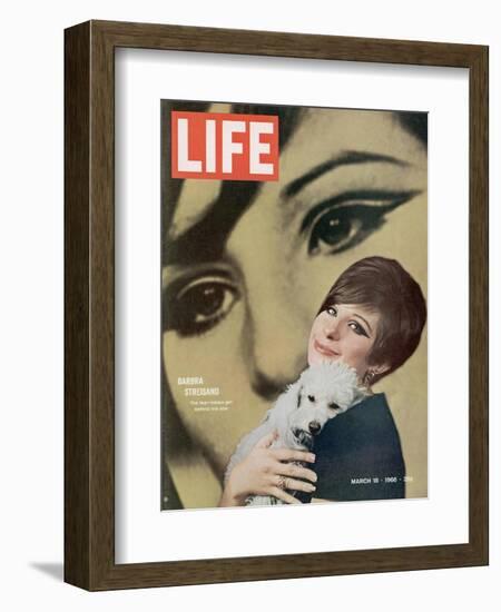 Barbra Streisand, March 18, 1966-Bill Eppridge-Framed Photographic Print