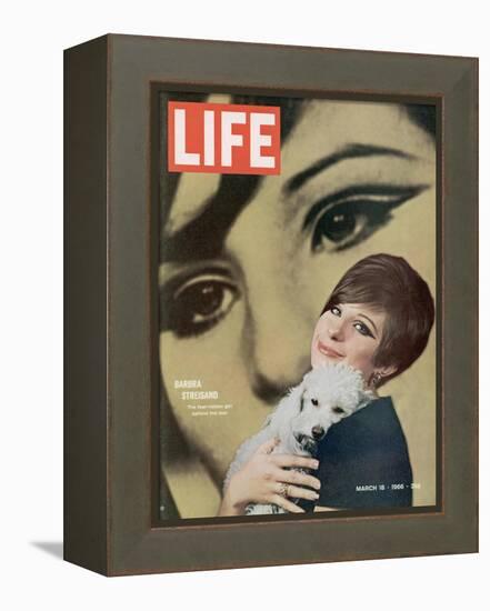 Barbra Streisand, March 18, 1966-Bill Eppridge-Framed Premier Image Canvas