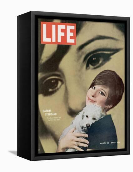 Barbra Streisand, March 18, 1966-Bill Eppridge-Framed Premier Image Canvas