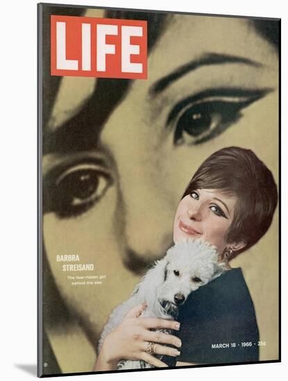 Barbra Streisand, March 18, 1966-Bill Eppridge-Mounted Photographic Print