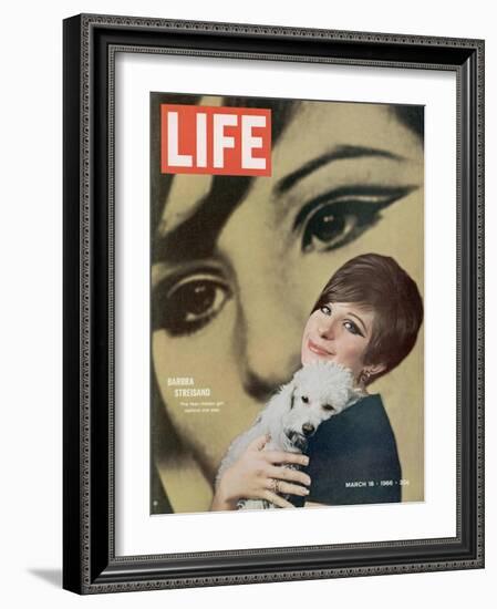 Barbra Streisand, March 18, 1966-Bill Eppridge-Framed Photographic Print