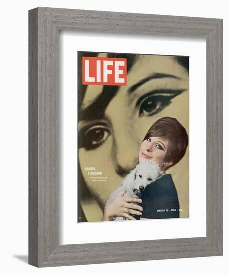 Barbra Streisand, March 18, 1966-Bill Eppridge-Framed Photographic Print