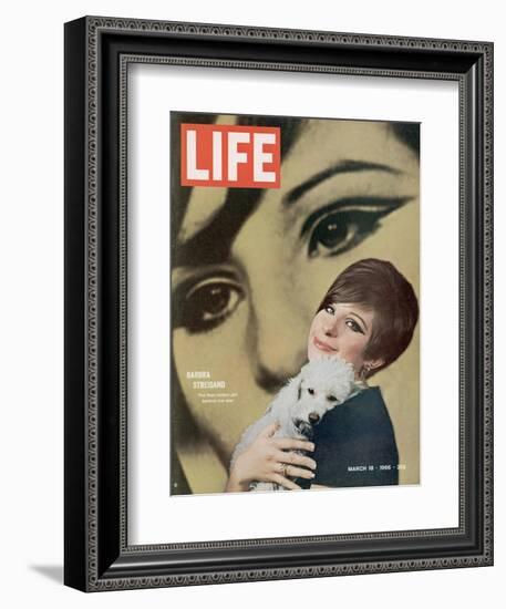 Barbra Streisand, March 18, 1966-Bill Eppridge-Framed Photographic Print