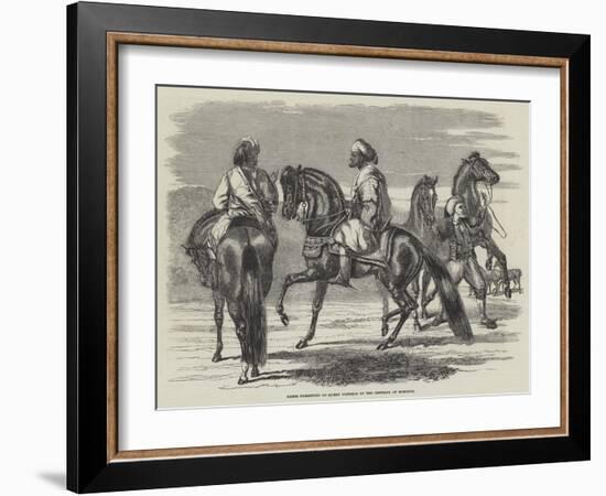 Barbs Presented to Queen Victoria by the Emperor of Morocco-null-Framed Giclee Print