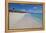 Barbuda, Antigua and Barbuda, Leeward Islands, West Indies-Roberto Moiola-Framed Premier Image Canvas