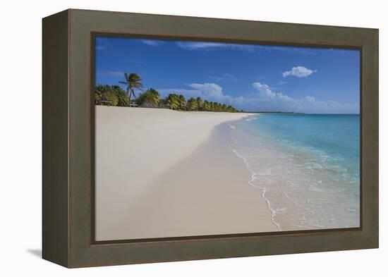 Barbuda, Antigua and Barbuda, Leeward Islands, West Indies-Roberto Moiola-Framed Premier Image Canvas
