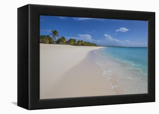 Barbuda, Antigua and Barbuda, Leeward Islands, West Indies-Roberto Moiola-Framed Premier Image Canvas