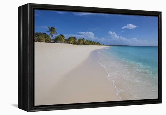 Barbuda, Antigua and Barbuda, Leeward Islands, West Indies-Roberto Moiola-Framed Premier Image Canvas