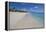 Barbuda, Antigua and Barbuda, Leeward Islands, West Indies-Roberto Moiola-Framed Premier Image Canvas