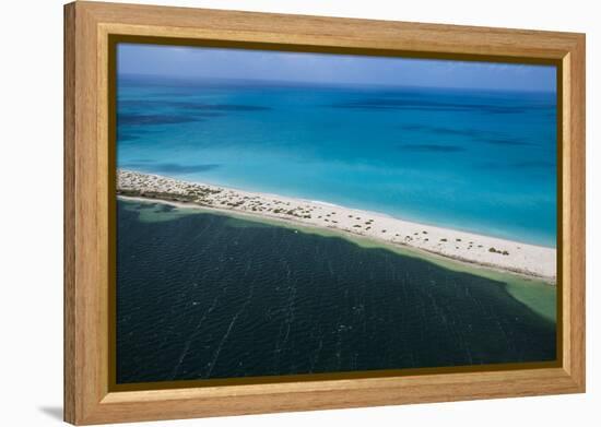 Barbuda, Antigua and Barbuda, Leeward Islands, West Indies-Roberto Moiola-Framed Premier Image Canvas