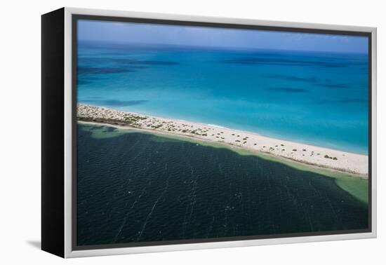 Barbuda, Antigua and Barbuda, Leeward Islands, West Indies-Roberto Moiola-Framed Premier Image Canvas