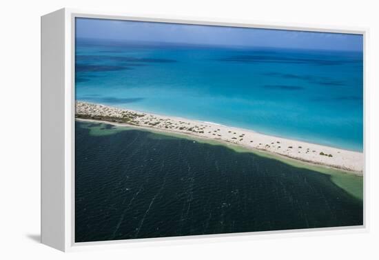 Barbuda, Antigua and Barbuda, Leeward Islands, West Indies-Roberto Moiola-Framed Premier Image Canvas