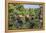 Barbuda, Antigua and Barbuda, Leeward Islands, West Indies-Roberto Moiola-Framed Premier Image Canvas