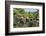 Barbuda, Antigua and Barbuda, Leeward Islands, West Indies-Roberto Moiola-Framed Photographic Print