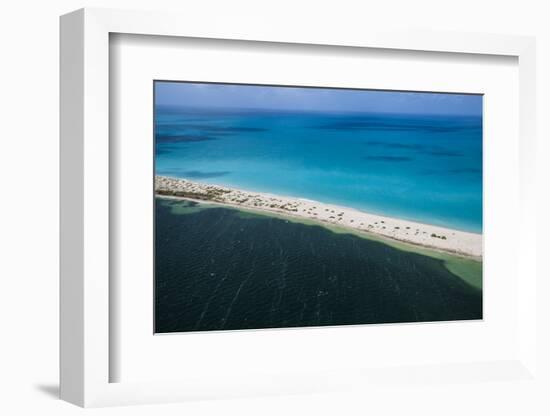 Barbuda, Antigua and Barbuda, Leeward Islands, West Indies-Roberto Moiola-Framed Photographic Print