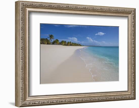 Barbuda, Antigua and Barbuda, Leeward Islands, West Indies-Roberto Moiola-Framed Photographic Print