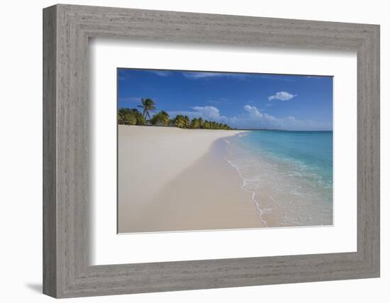 Barbuda, Antigua and Barbuda, Leeward Islands, West Indies-Roberto Moiola-Framed Photographic Print