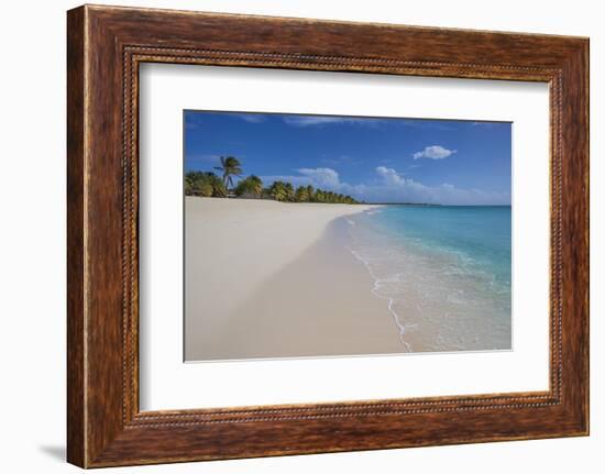 Barbuda, Antigua and Barbuda, Leeward Islands, West Indies-Roberto Moiola-Framed Photographic Print