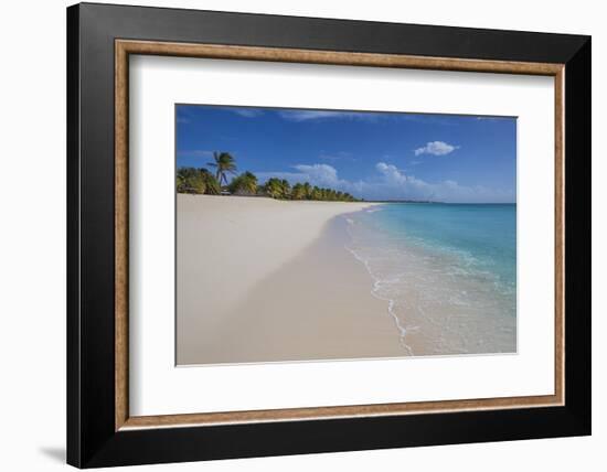 Barbuda, Antigua and Barbuda, Leeward Islands, West Indies-Roberto Moiola-Framed Photographic Print