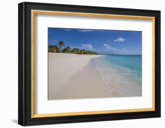 Barbuda, Antigua and Barbuda, Leeward Islands, West Indies-Roberto Moiola-Framed Photographic Print