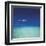 Barbuda II-Chris Simpson-Framed Giclee Print