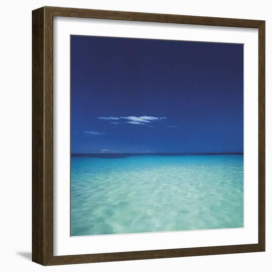 Barbuda II-Chris Simpson-Framed Giclee Print