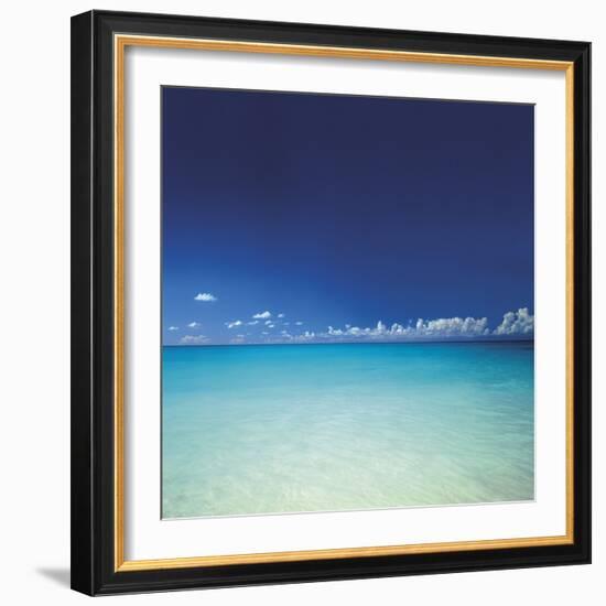 Barbuda III-Chris Simpson-Framed Giclee Print