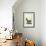 Barcelona Armchair 250-null-Framed Giclee Print displayed on a wall