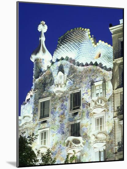 Barcelona, Casa Batllo, Spain-Steve Vidler-Mounted Photographic Print