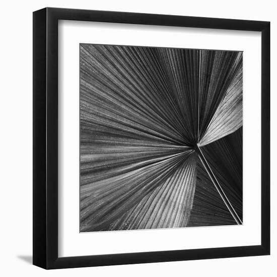Barcelona Noir-Ben Wood-Framed Giclee Print