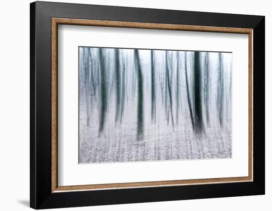 Bare Beech Forest in Winter, Abstract Study [M], Colour and Contrast Digitally Enhanced-Andreas Vitting-Framed Photographic Print