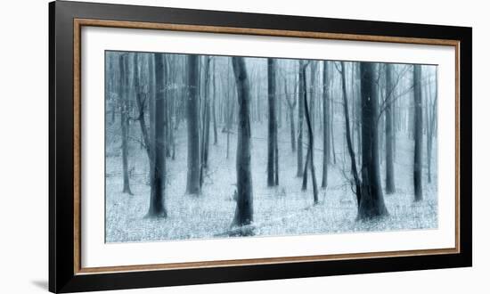 Bare Beech Forest in Winter, Abstract Study [M], Colour and Contrast Digitally Enhanced-Andreas Vitting-Framed Photographic Print