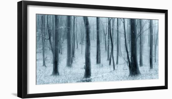 Bare Beech Forest in Winter, Abstract Study [M], Colour and Contrast Digitally Enhanced-Andreas Vitting-Framed Photographic Print