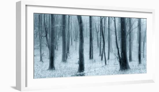 Bare Beech Forest in Winter, Abstract Study [M], Colour and Contrast Digitally Enhanced-Andreas Vitting-Framed Photographic Print