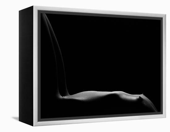 Bare Chair-Fulvio Pellegrini-Framed Premier Image Canvas
