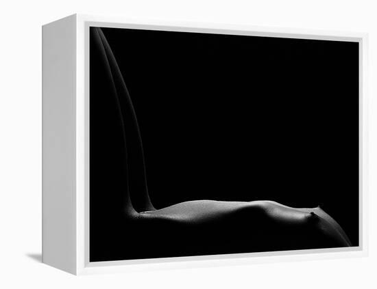 Bare Chair-Fulvio Pellegrini-Framed Premier Image Canvas