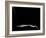 Bare Chair-Fulvio Pellegrini-Framed Photographic Print