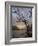 Bare Tree at Sunrise, St. Mary Lake, Glacier National Park, Montana, USA-James Hager-Framed Photographic Print