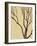 Bare Tree I-Norman Wyatt Jr.-Framed Art Print