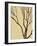 Bare Tree I-Norman Wyatt Jr.-Framed Art Print